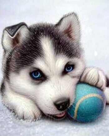 Husky hvalp 5D diamond paint - 40 x 40 cm