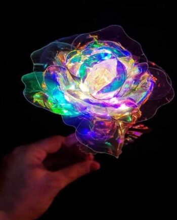 Holografisk rose med LED lys