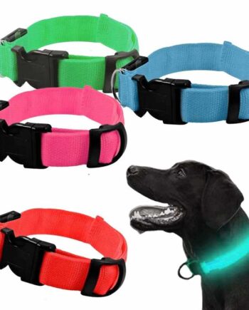 Hundehalsbånd med LED-lys